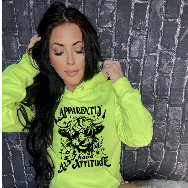 Apparently, I have an attitude