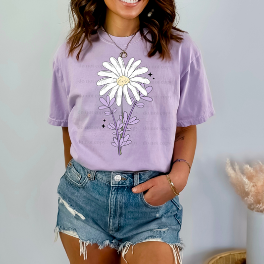 Daisy